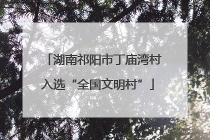 湖南祁阳市丁庙湾村入选“全国文明村”