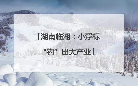 湖南临湘：小浮标“钓”出大产业