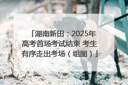 湖南新田：2025年高考首场考试结束 考生有序走出考场（组图）