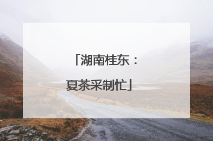 湖南桂东：夏茶采制忙