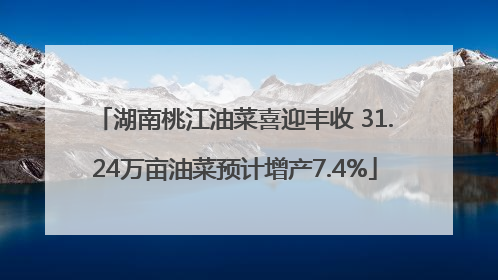 湖南桃江油菜喜迎丰收 31.24万亩油菜预计增产7.4%