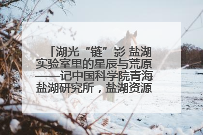 湖光“链”影 盐湖实验室里的星辰与荒原——记中国科学院青海盐湖研究所，盐湖资源化学实验室党总支书记、副主任刘忠
