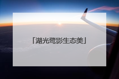 湖光鹭影生态美