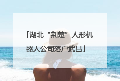 湖北“荆楚”人形机器人公司落户武昌