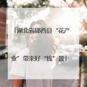 湖北省郧西县“花产业”带来好“钱”景