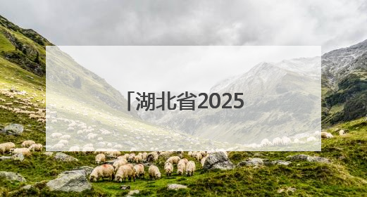 湖北省2025版标准地图发布！行政界线与交通网络全面更新