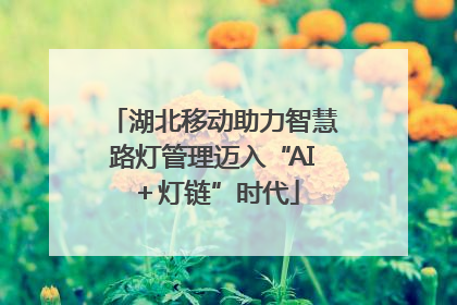 湖北移动助力智慧路灯管理迈入“AI＋灯链”时代