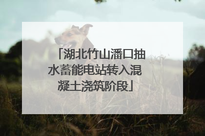 湖北竹山潘口抽水蓄能电站转入混凝土浇筑阶段
