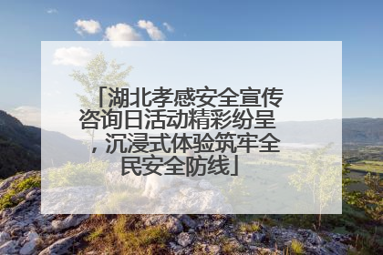 湖北孝感安全宣传咨询日活动精彩纷呈，沉浸式体验筑牢全民安全防线