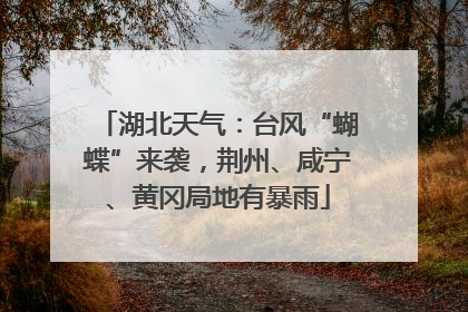 湖北天气：台风“蝴蝶”来袭，荆州、咸宁、黄冈局地有暴雨