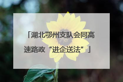 湖北鄂州支队会同高速路政“进企送法”
