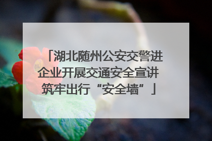 湖北随州公安交警进企业开展交通安全宣讲筑牢出行“安全墙”