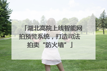 湖北高院上线智能网拍预警系统，打造司法拍卖“防火墙”