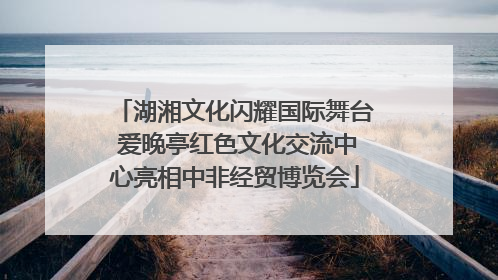 湖湘文化闪耀国际舞台 爱晚亭红色文化交流中心亮相中非经贸博览会
