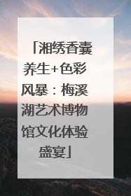 湘绣香囊养生+色彩风暴：梅溪湖艺术博物馆文化体验盛宴
