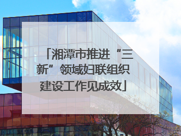 湘潭市推进“三新”领域妇联组织建设工作见成效