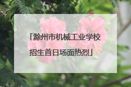 滁州市机械工业学校招生首日场面热烈