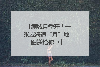 满城月季开！一张威海追“月”地图送给你→