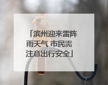 滨州迎来雷阵雨天气 市民需注意出行安全