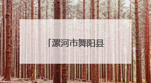 漯河市舞阳县：卖桃男孩背后的暖心故事