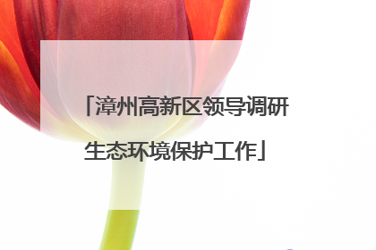 漳州高新区领导调研生态环境保护工作