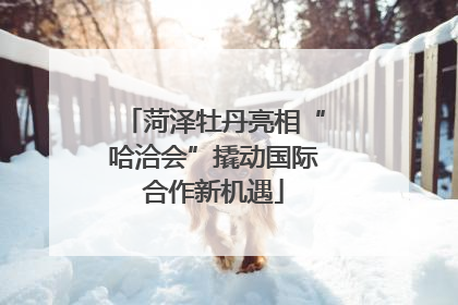菏泽牡丹亮相“哈洽会”撬动国际合作新机遇