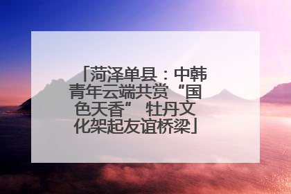 菏泽单县：中韩青年云端共赏“国色天香” 牡丹文化架起友谊桥梁
