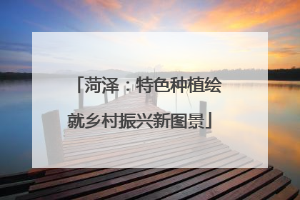 菏泽：特色种植绘就乡村振兴新图景