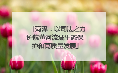 菏泽：以司法之力护航黄河流域生态保护和高质量发展