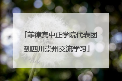 菲律宾中正学院代表团到四川崇州交流学习