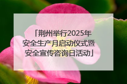 荆州举行2025年安全生产月启动仪式暨安全宣传咨询日活动
