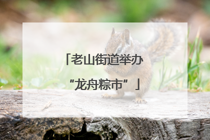 老山街道举办“龙舟粽市”