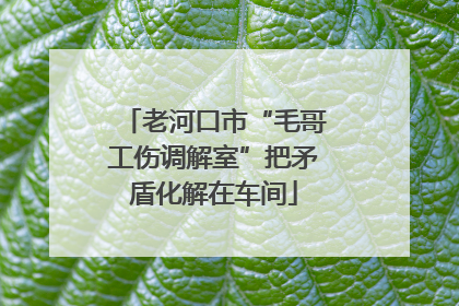 老河口市“毛哥工伤调解室”把矛盾化解在车间