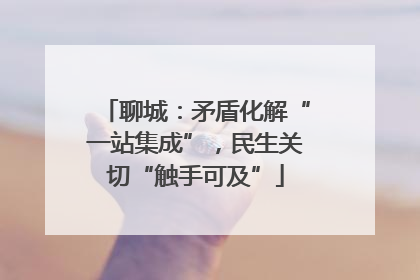 聊城：矛盾化解“一站集成”，民生关切“触手可及”