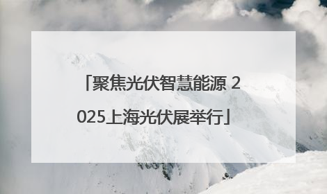 聚焦光伏智慧能源 2025上海光伏展举行