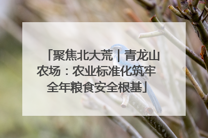 聚焦北大荒｜青龙山农场：农业标准化筑牢全年粮食安全根基