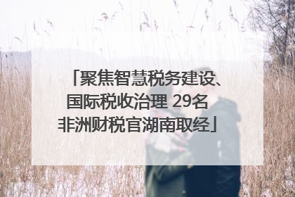 聚焦智慧税务建设、国际税收治理 29名非洲财税官湖南取经