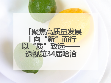 聚焦高质量发展丨向“新”而行 以“质”致远——透视第34届哈洽会上的创新动能
