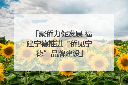 聚侨力促发展 福建宁德推进“侨见宁德”品牌建设