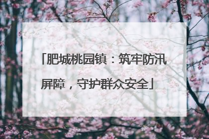 肥城桃园镇：筑牢防汛屏障，守护群众安全