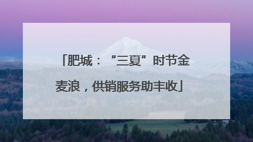 肥城：“三夏”时节金麦浪，供销服务助丰收