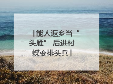 能人返乡当“头雁” 后进村蝶变排头兵