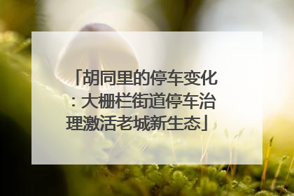 胡同里的停车变化：大栅栏街道停车治理激活老城新生态