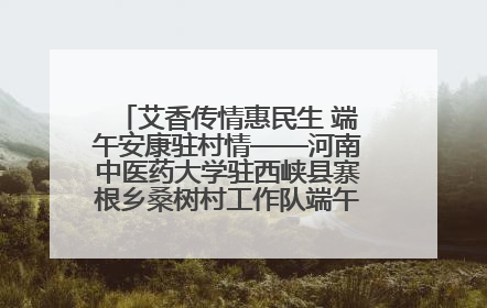 艾香传情惠民生 端午安康驻村情——河南中医药大学驻西峡县寨根乡桑树村工作队端午中医惠民记