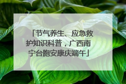 节气养生、应急救护知识科普，广西南宁台胞安康庆端午