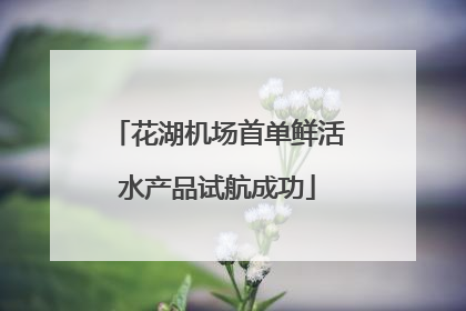 花湖机场首单鲜活水产品试航成功