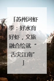 苏州河虾季：好水育好虾，文旅融合绘就“舌尖江南”