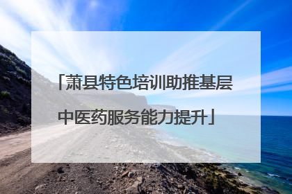 萧县特色培训助推基层中医药服务能力提升