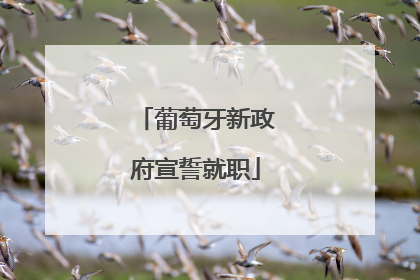 葡萄牙新政府宣誓就职