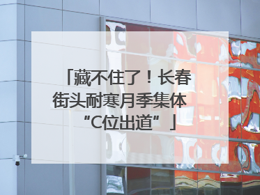 藏不住了！长春街头耐寒月季集体“C位出道”